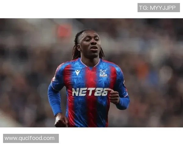 阿森纳队新赛季目标明确 引援策略与年轻球员培养并重