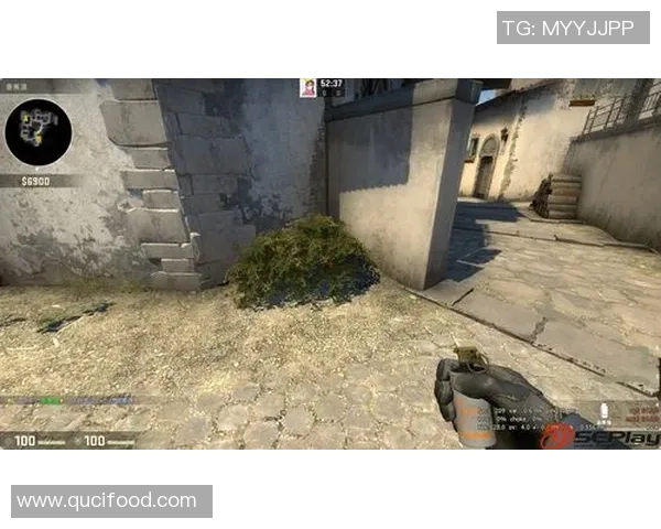 JDG在CSGO比赛中的盯防策略分析与得失总结