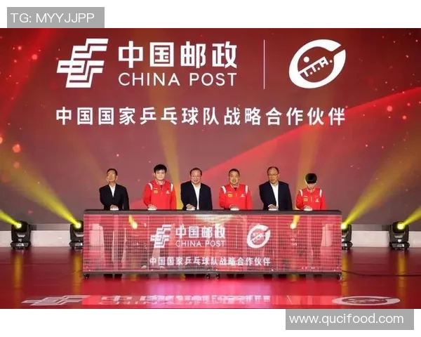 南京乒乓球队反击战术深度解析与实战应用探讨