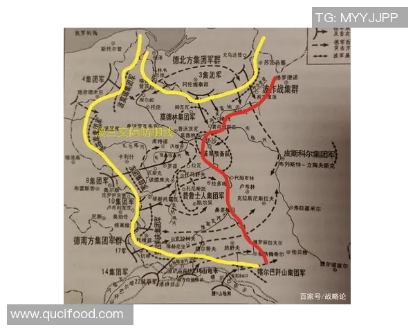 深入分析V5战队的进攻策略与战术布局探讨