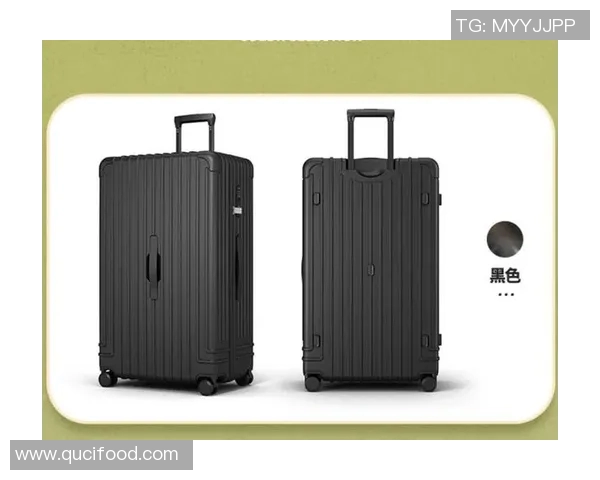 探索箱包设计的创新与未来趋势,打造功能与时尚兼备的旅行伴侣