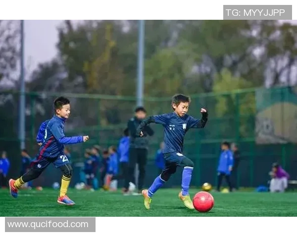 北京足球队的战术解析与管理模式探秘深度分析