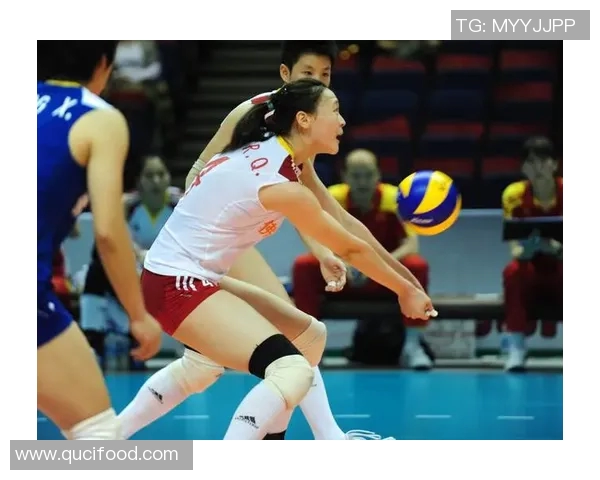 对话陈娜:回顾我的排球生涯与成长之路