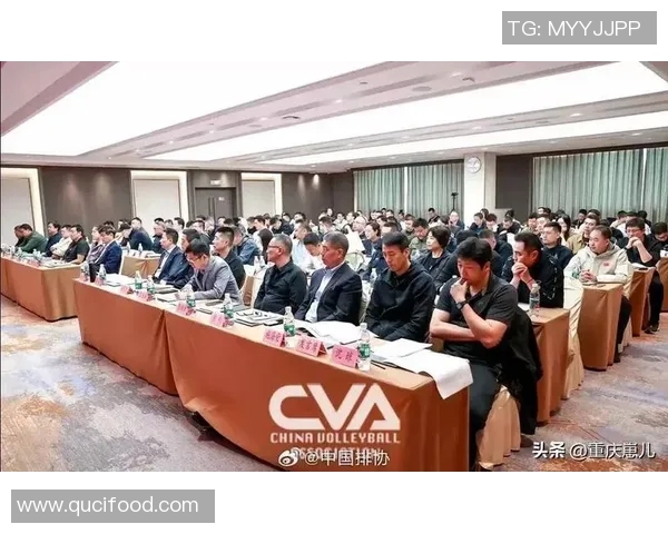 杭州排球队技术争议引发热议球迷与专家各抒己见探讨战术与表现
