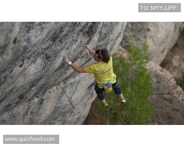 从零基础到高手：全面解析攀岩战术与技巧的实用指南